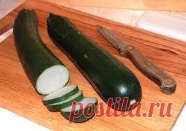 Кабачок - Полезные свойства кабачков