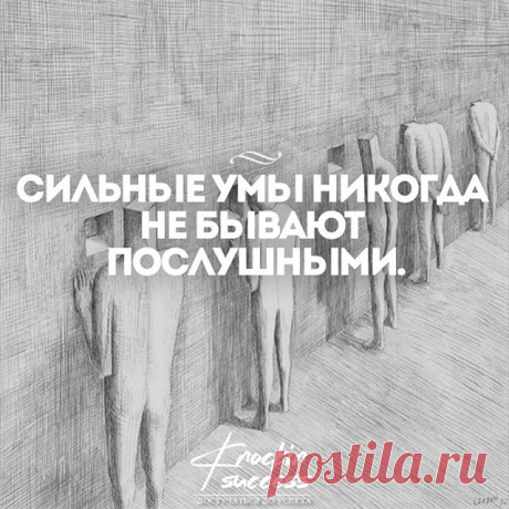 Достучаться до успеха 👍 (@knockin_success) • Фото и видео в Instagram