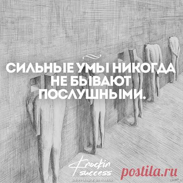 Достучаться до успеха 👍 (@knockin_success) • Фото и видео в Instagram