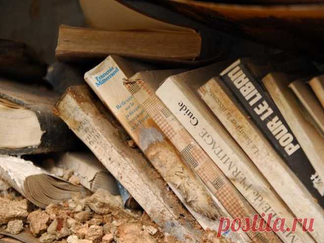 Охота на время / Научный хит