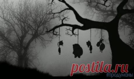 Все герои книг о Винни Пухе имеют ярко выраженные психические расстройства | Human psychology