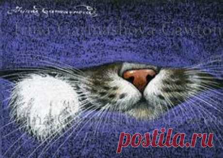 https://www.facebook.com/irinagarmashovafineart/photos/a.217863185061522.1073741829.187830481398126/324921884355651/?type=1