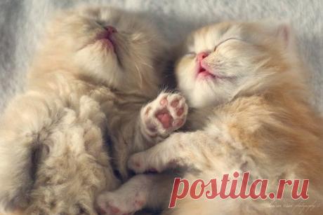 Мой Мир@Mail.Ru