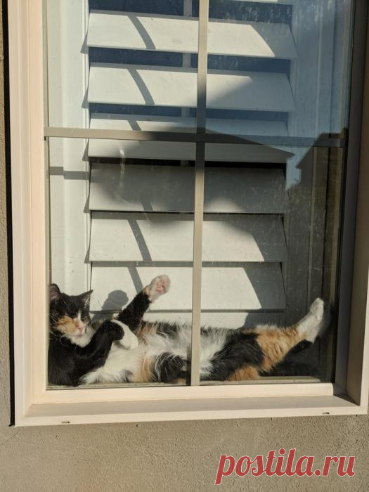 Утомлённая солнцем