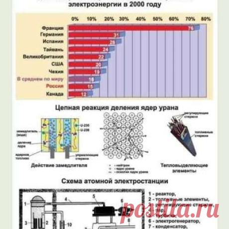 Учитель физики!
