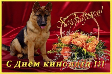 Кинологи, примите поздравления,
Ваш труд почётен, в этом нет сомнения,
Он сложен и поистине велик —
С животными найти один язык!