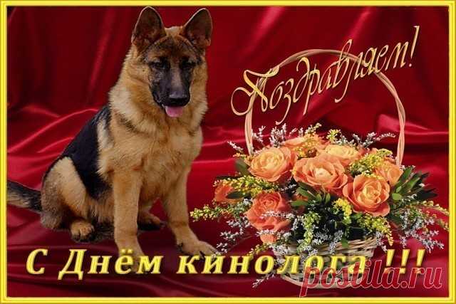 Кинологи, примите поздравления,
Ваш труд почётен, в этом нет сомнения,
Он сложен и поистине велик —
С животными найти один язык!