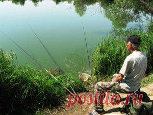 Хитрости спиннингиста