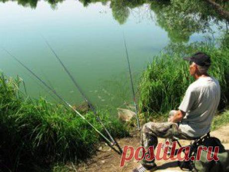 Хитрости спиннингиста