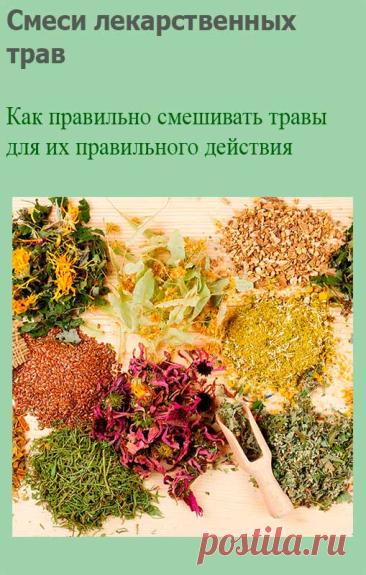 Смеси лекарственных трав. Необходимые растительные смеси следует составлять в природе только из тех видов, которые обычны и часто встречаются. Во всех остальных случаях можно использовать ассортимент трав, предлагаемых аптеками и специализированными магазинами по продаже трав.