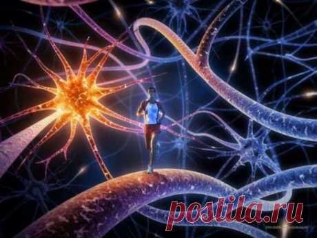 Интересные факты из мира генетики - Интересное и необычное