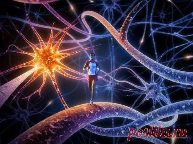 Интересные факты из мира генетики - Интересное и необычное