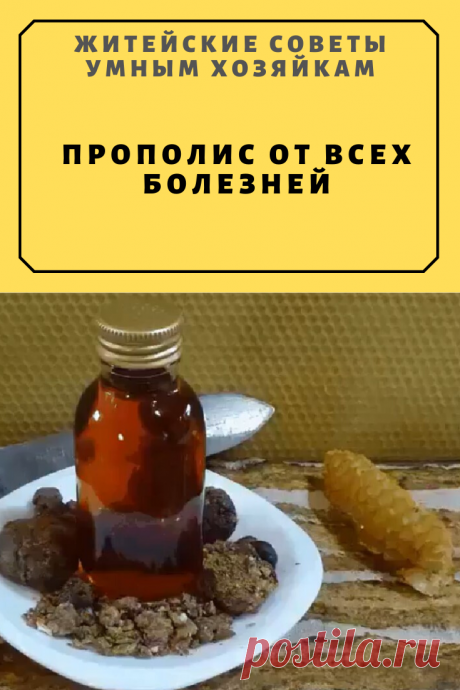 ПРОПОЛИС ОТ ВСЕХ БОЛЕЗНЕЙ | Житейские Советы