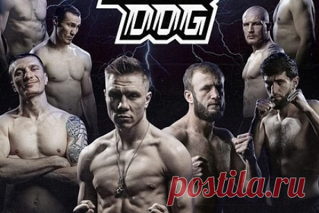 Объявлен файткард турнира по кулачным боям TOP DOG 20. Турнир по кулачным боям TOP DOG 20 состоится 7 мая в московском Vegas City Hall. Как рассказали организаторы, в главном бою чемпион лиги в полусреднем весе Денис Погодин проведет защиту перстня против Исы Бегаева по кличке Палач. Погодин и Бегаев подходят к поединку с одинаковым послужным списком.