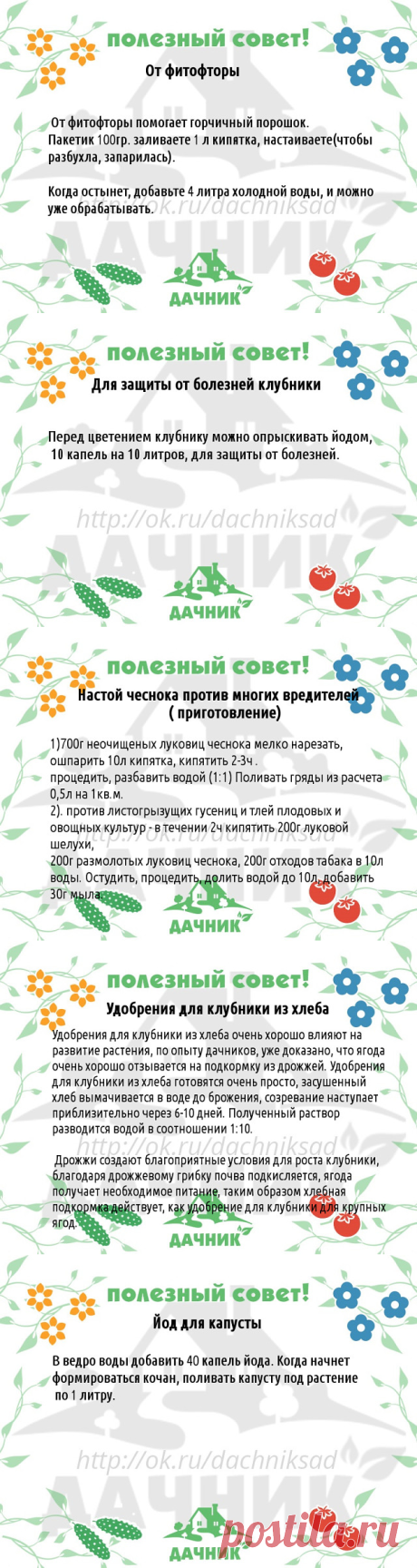 (48) Одноклассники