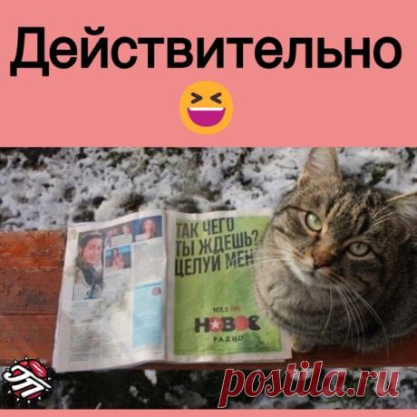 Запись на стене