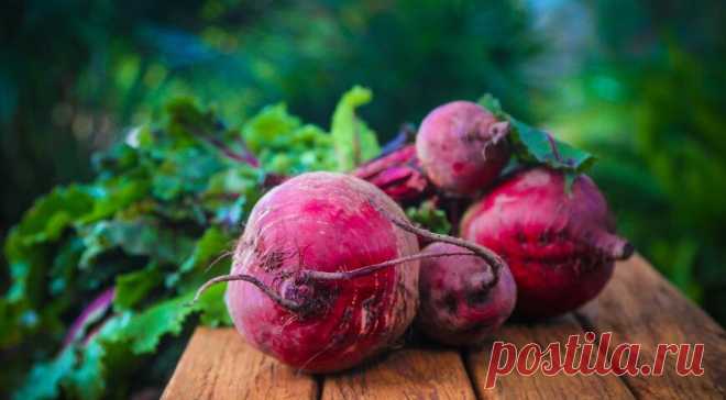 Что нужно есть для здоровья крови | gastronom.ru | Яндекс Дзен