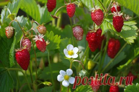 Идеи для творчества и подарков своими руками