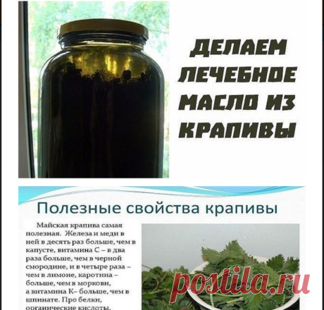 Лечебное масло из крапивы