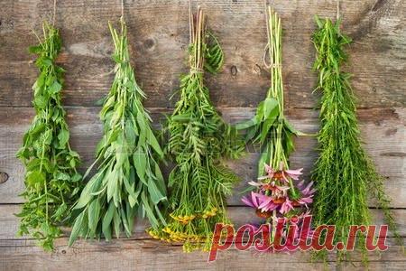 Средства для укрепления сосудов (против спазмов)