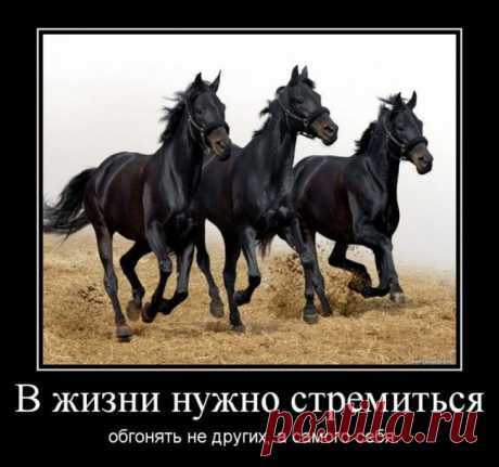 Демотиваторы (30 фото)