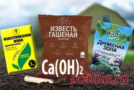 Технология и сроки известкования почвы