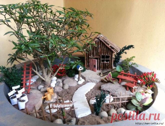 Миниатюрный сад | Подружки