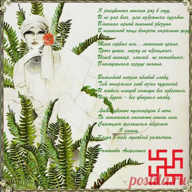 Плейкаст «ЖАР-цвет» Слово "папороть", означавшее это растение, в древнерусском языке связано с "порть" - "крыло" и "пьрати" - "лететь". От этого же корня произведены "парить", "перо" и ряд других слов.
"ЦВЕТОК ПАПОРОТНИКА" (ЖАР-цвет, Перунов цвет, Свети-цвет) - Огненный СИМВОЛ чистоты Духа, обладает мощными целительными силами. Способен открывать скрытые в земле клады, исполнять желания. .