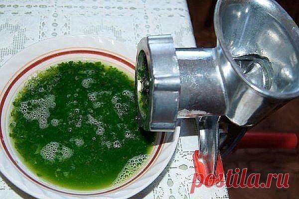 Алое, мед, кагор — эта смесь 