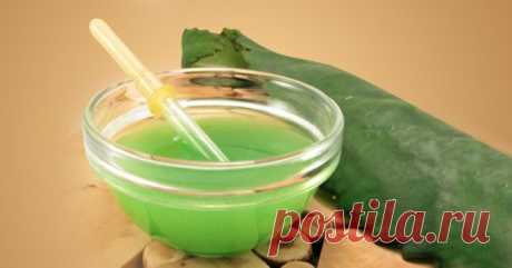 Лечим насморк с помощью каланхоэ / Будьте здоровы