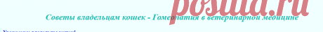 Советы владельцам кошек - Гомеопатия в ветеринарной медицине - Домашние животные - Избранное(Архив) - Форум на Kuban.ru