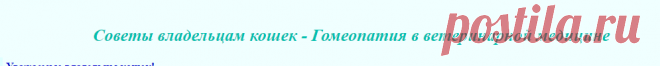 Советы владельцам кошек - Гомеопатия в ветеринарной медицине - Домашние животные - Избранное(Архив) - Форум на Kuban.ru