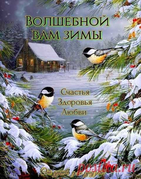 Сегодня первый День Зимы❄️