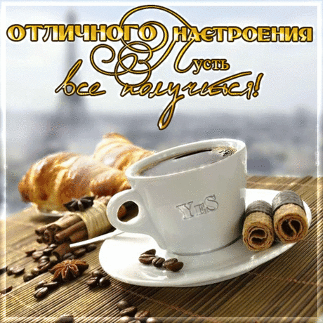 Самые популярные открытки за текущий день