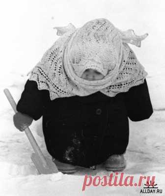 Татьяна Петрова - Лос-Анджелес, Калифорния, США, 68 лет на Мой Мир@Mail.ru