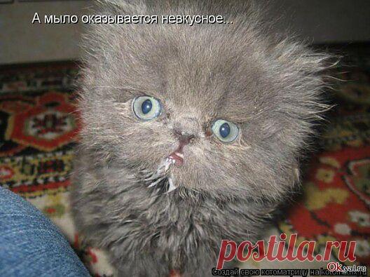 Мой Мир@Mail.Ru