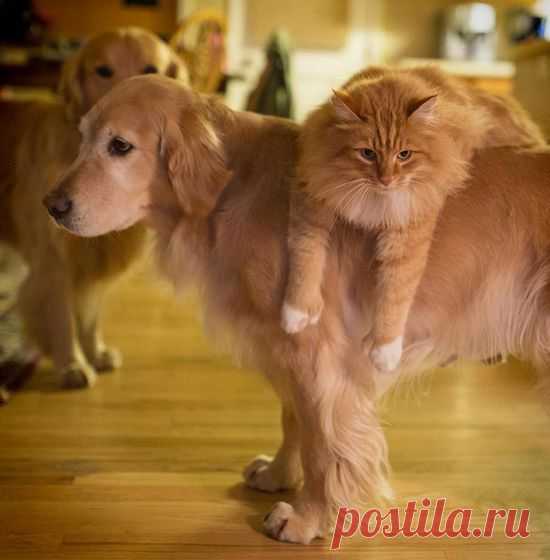 Интересные новости