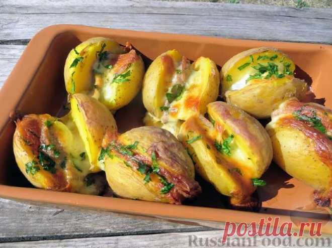 Рецепт: Картошка с колбаской и сыром (в духовке) на RussianFood.com