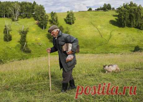 Фотография Тихие радости из раздела жанр №5397760 - фото.сайт - Photosight.ru