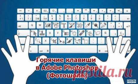 Дарья Ефимкина