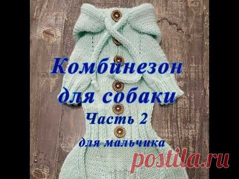Комбинезон для собаки спицами, часть 2
