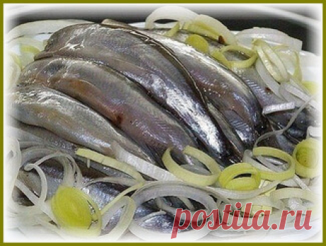 Как вкусно и просто посолить мойву