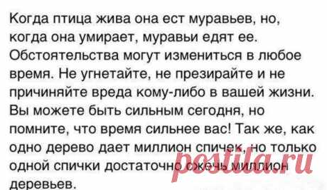 Правда Жизни | Юмор, Мотивация, Сарказм, Цитаты