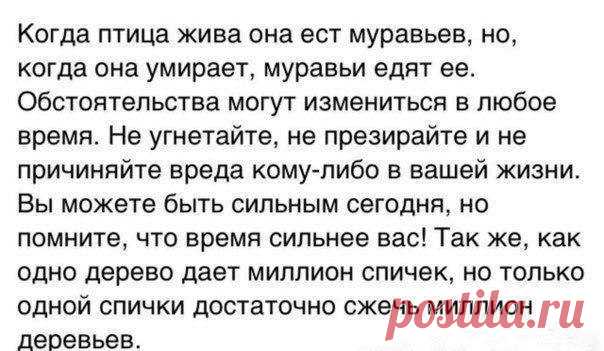 Правда Жизни | Юмор, Мотивация, Сарказм, Цитаты