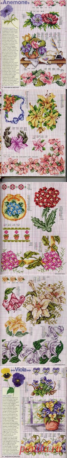 (878) Pinterest