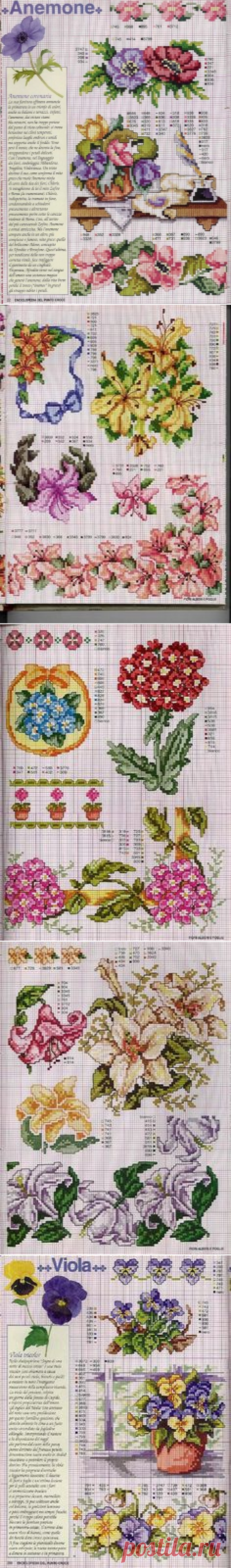 (878) Pinterest