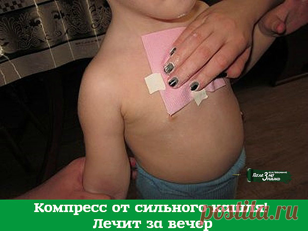 Компресс от сильного кашля! Лечит за вечер. 

Хочу поделиться рецептом лепёшки которой всегда пользуюсь при бронхитах: 

1 ст. л. мёда, 
1 ст. л. сухой горчицы, 
1 ст. л. уксуса, 
1 ст. л. подсолнечного масла, 
муки столько,чтобы можно было лепить. 

Лепёшку на грудки или спинку кладу под пелёночку(только не целофан!!!),нужно туго обмотать ребёнка шерстяным шарфом и т.п.на всю ночь. 
Как известно, мёд обладает свойствами помогающими лечить многие 
заболевания, не прибегая ...