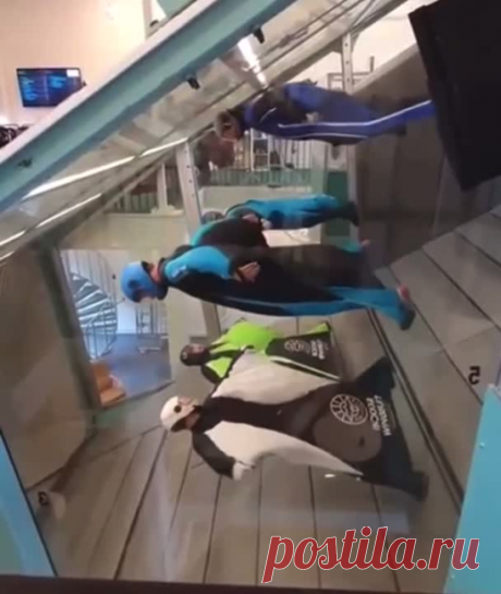 Учебное заведение для полетов в вингсьютах