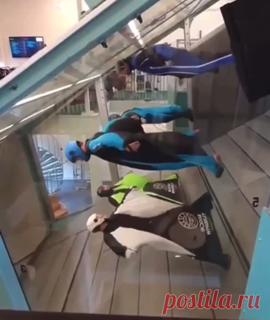 Учебное заведение для полетов в вингсьютах