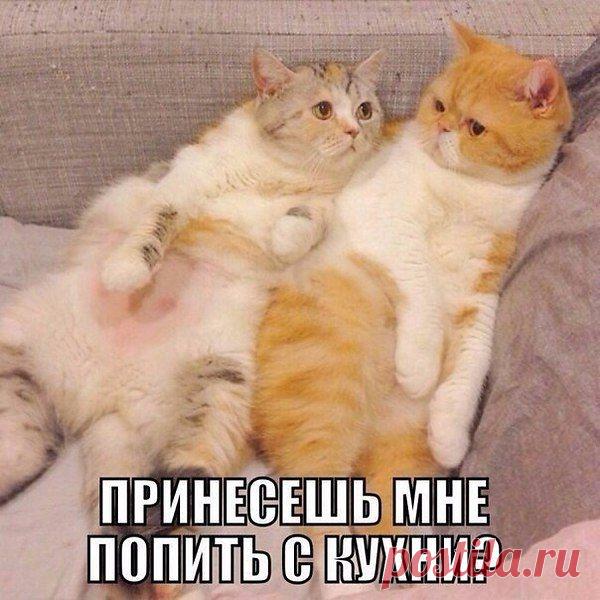 Интересные новости